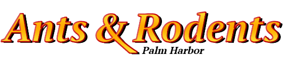Palm Harbor Ant Exterminator & Rodent Control Company Logo